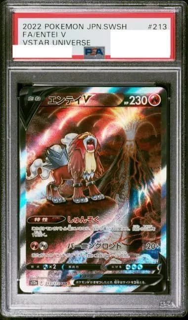 PSA9 エンテイV
