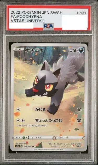 PSA9 ポチエナ