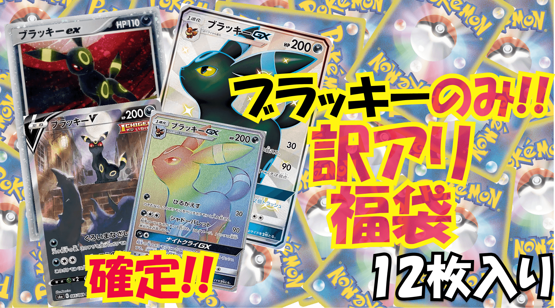 ブラッキーのみ!!訳アリ福袋(25万)