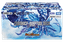 DMBD-22 デュエル・マスターズTCG クロニクル・ダークサイド・デッキ 「零誕」
