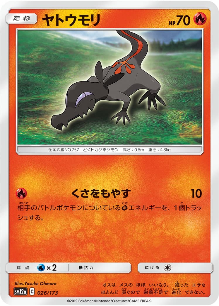 ヤトウモリ ミラー