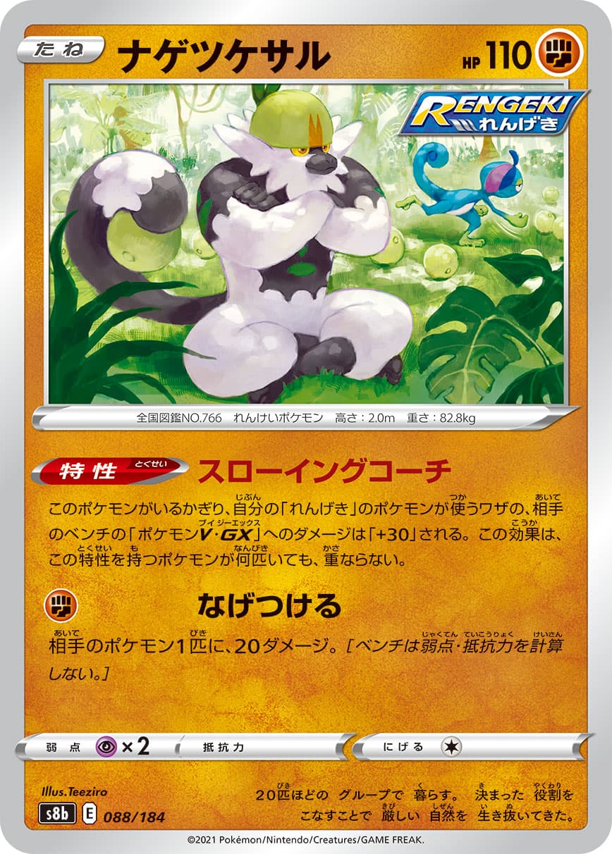 ナゲツケサル ミラー