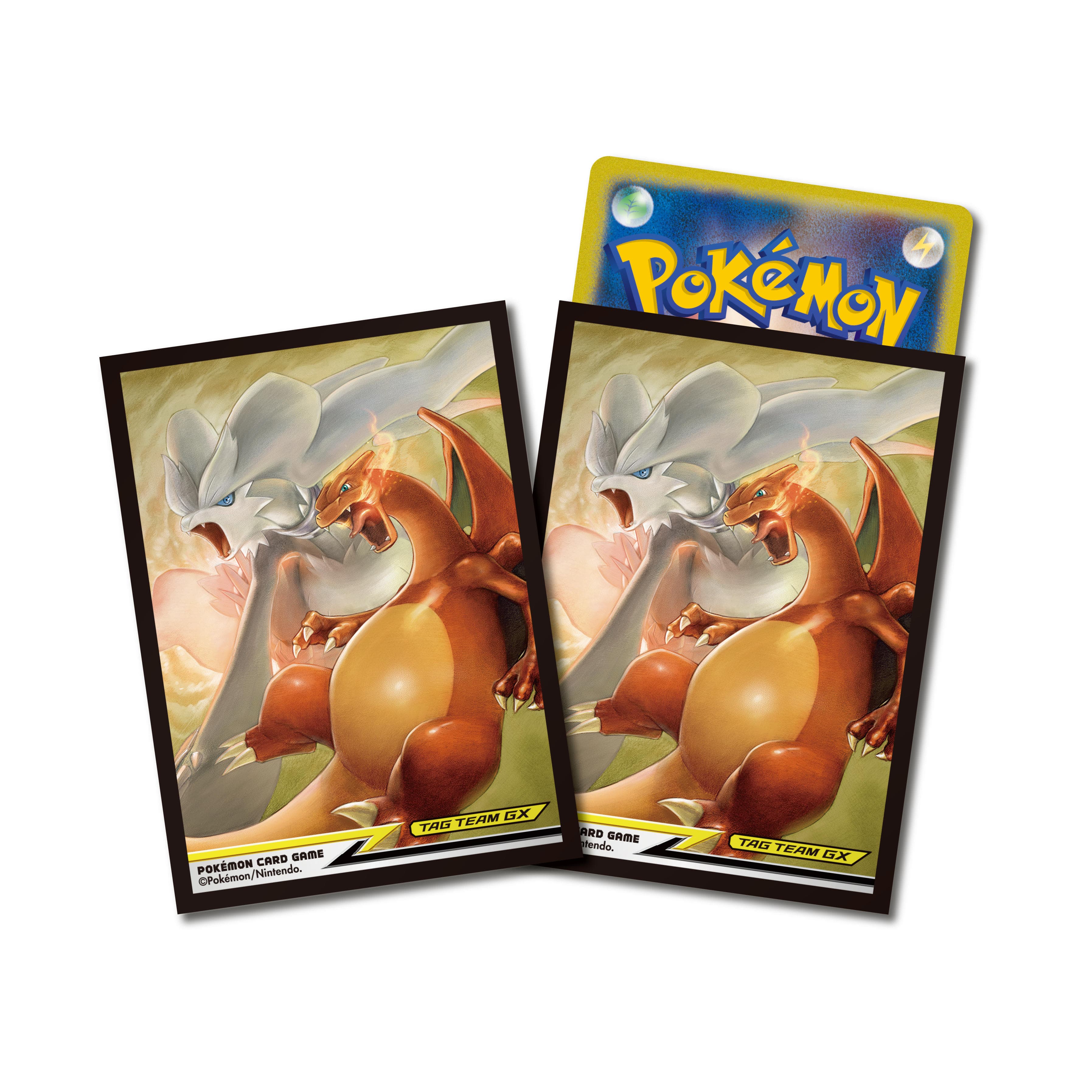 デッキシールド レシラム&リザードン TAG TEAM GX ｜ポケカ