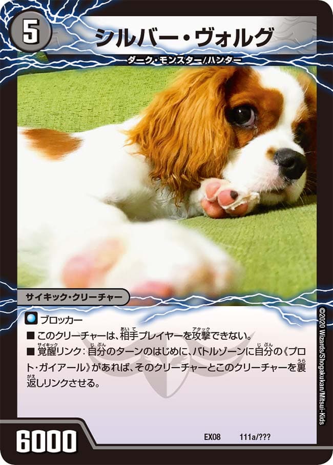 シルバー・ヴォルグ/{撃墜王ガイアール・キラードラゴン} Bottom