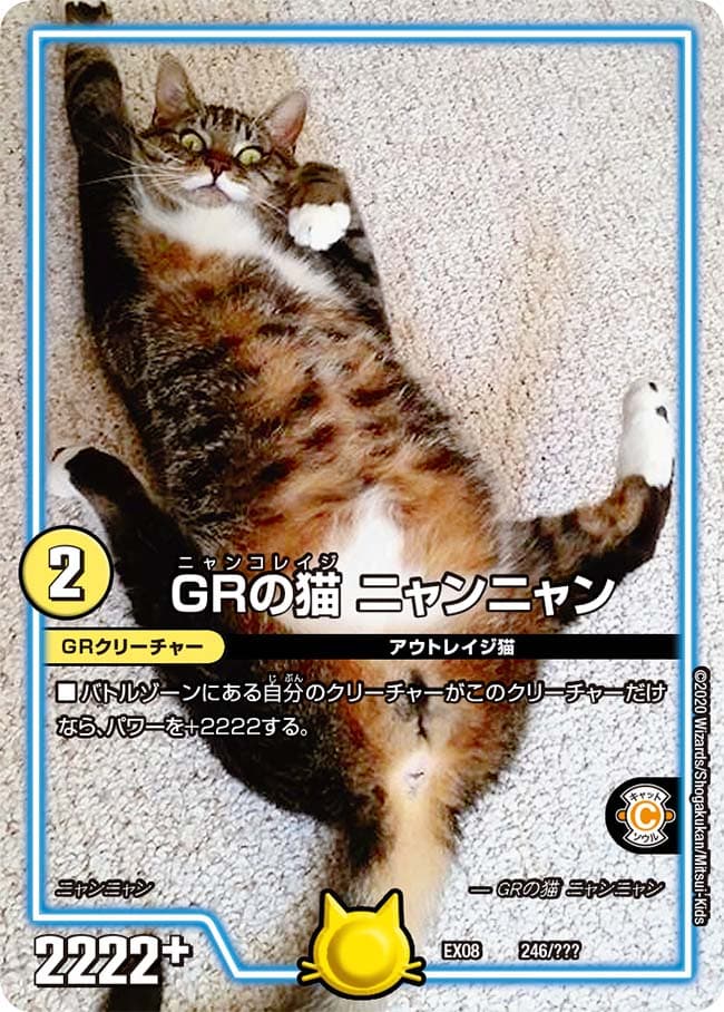 GRの猫 ニャンニャン