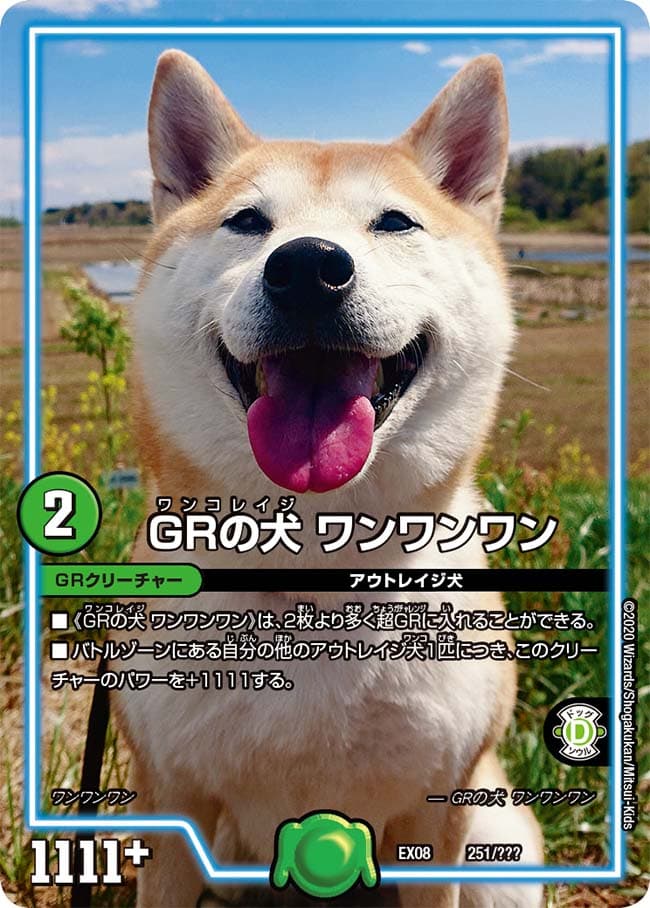 GRの犬 ワンワンワン