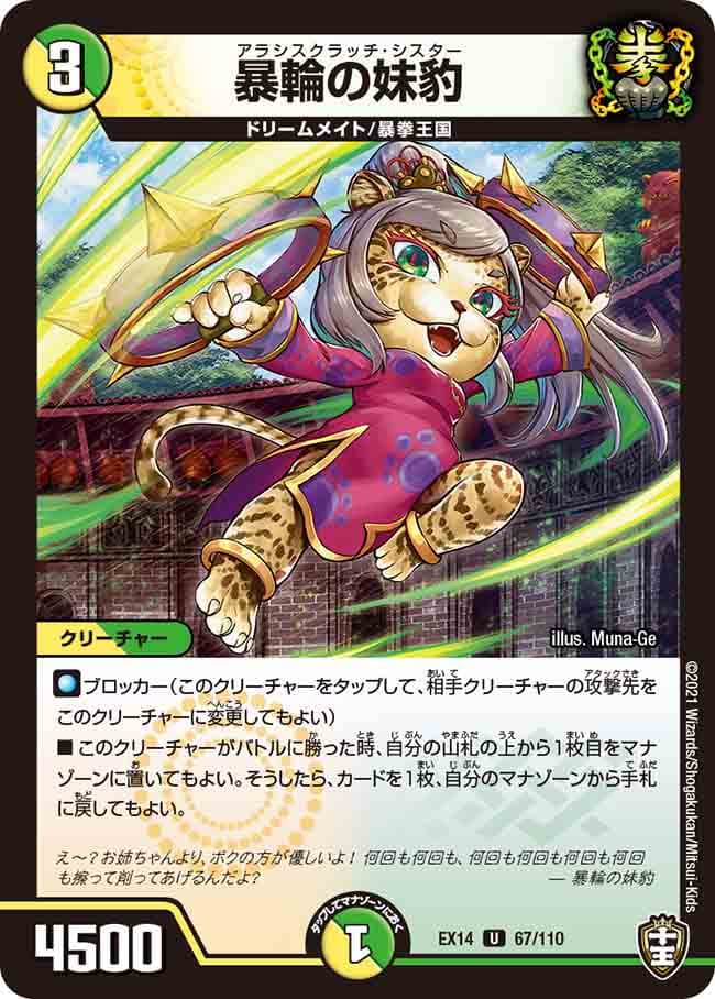 暴輪の妹豹