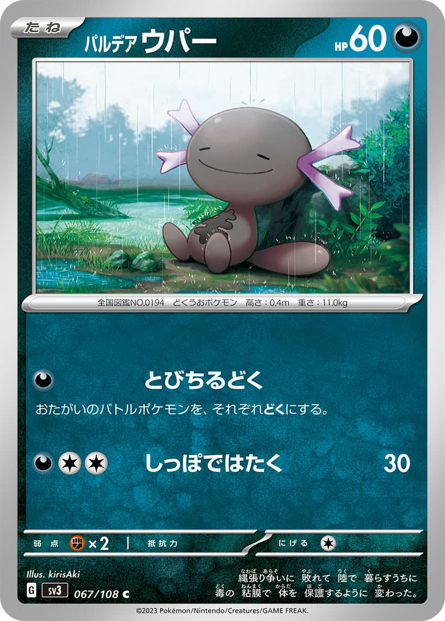 パルデアウパー