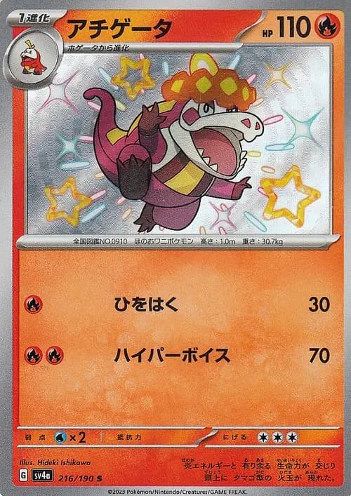 アチゲータ