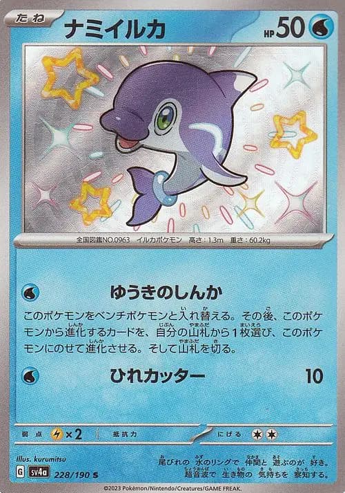 ナミイルカ