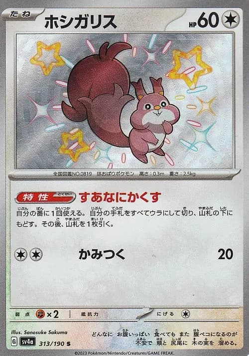 ホシガリス